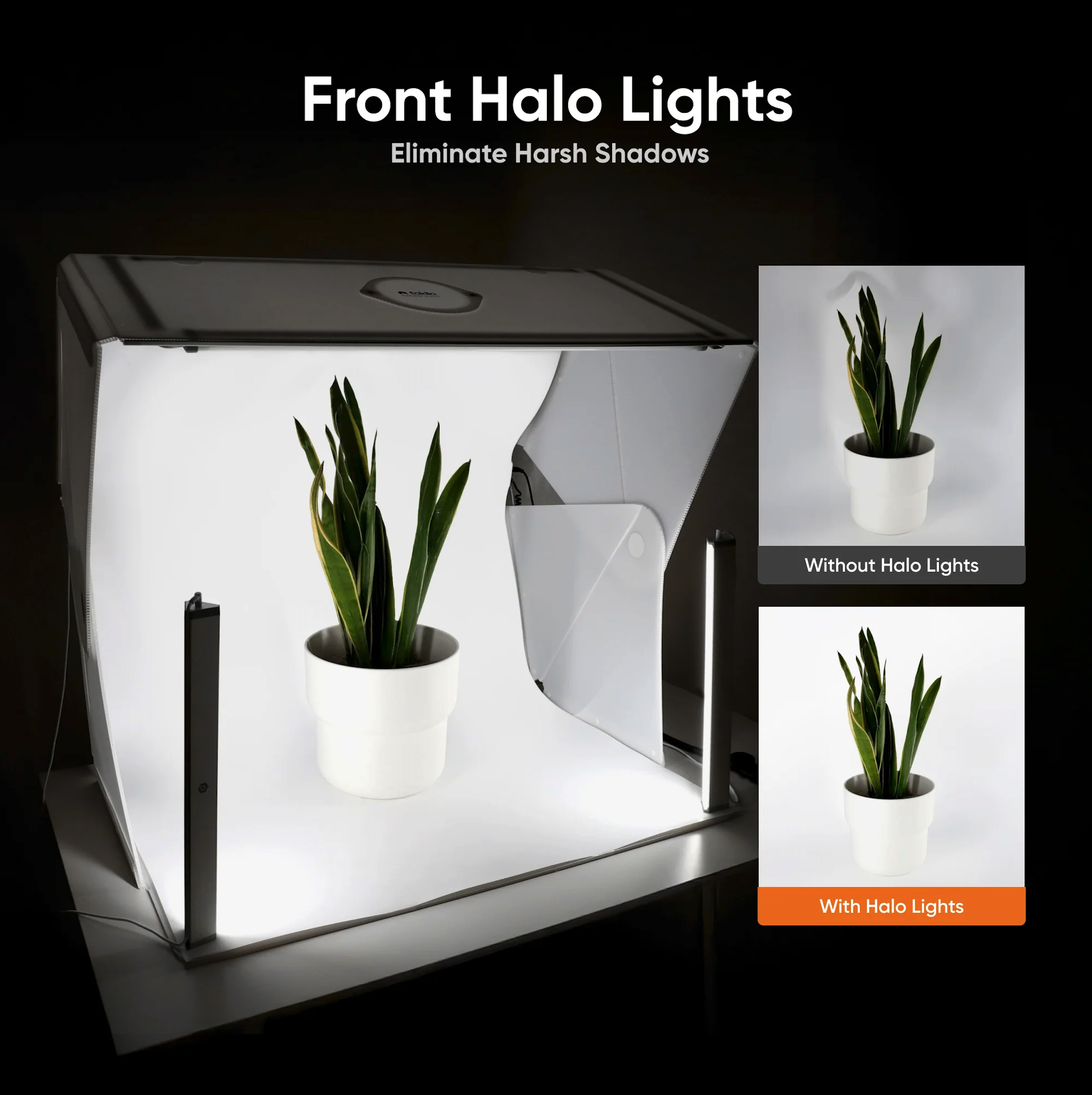 F4 Halo